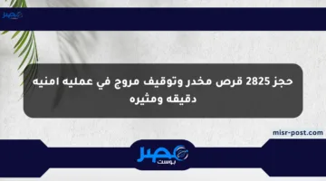 حجز 2825 قرص مخدر وتوقيف مروج في عملية أمنية دقيقة ومثيرة